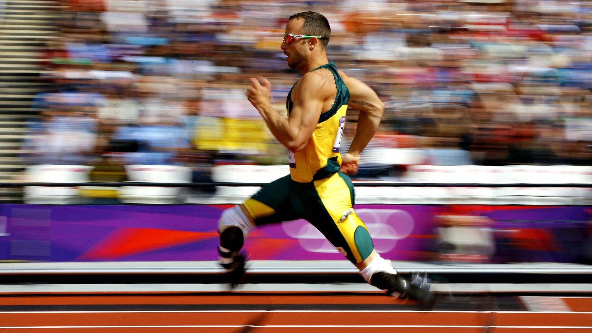 日本马术协会引入智能马鞍系统，实现实时数据监测与分析，提升骑乘体验。