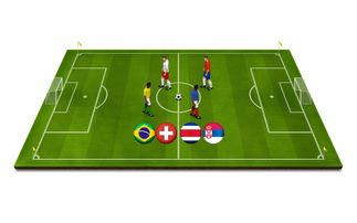 开云中国大陆-世界青少年冰壶锦标赛中国队奋勇争先，中国青少年冰壶公开赛冠军