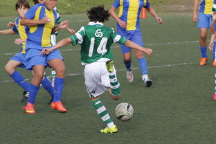 开云官网-英超球队引入神经科学干预提升定位球专注度的实证研究